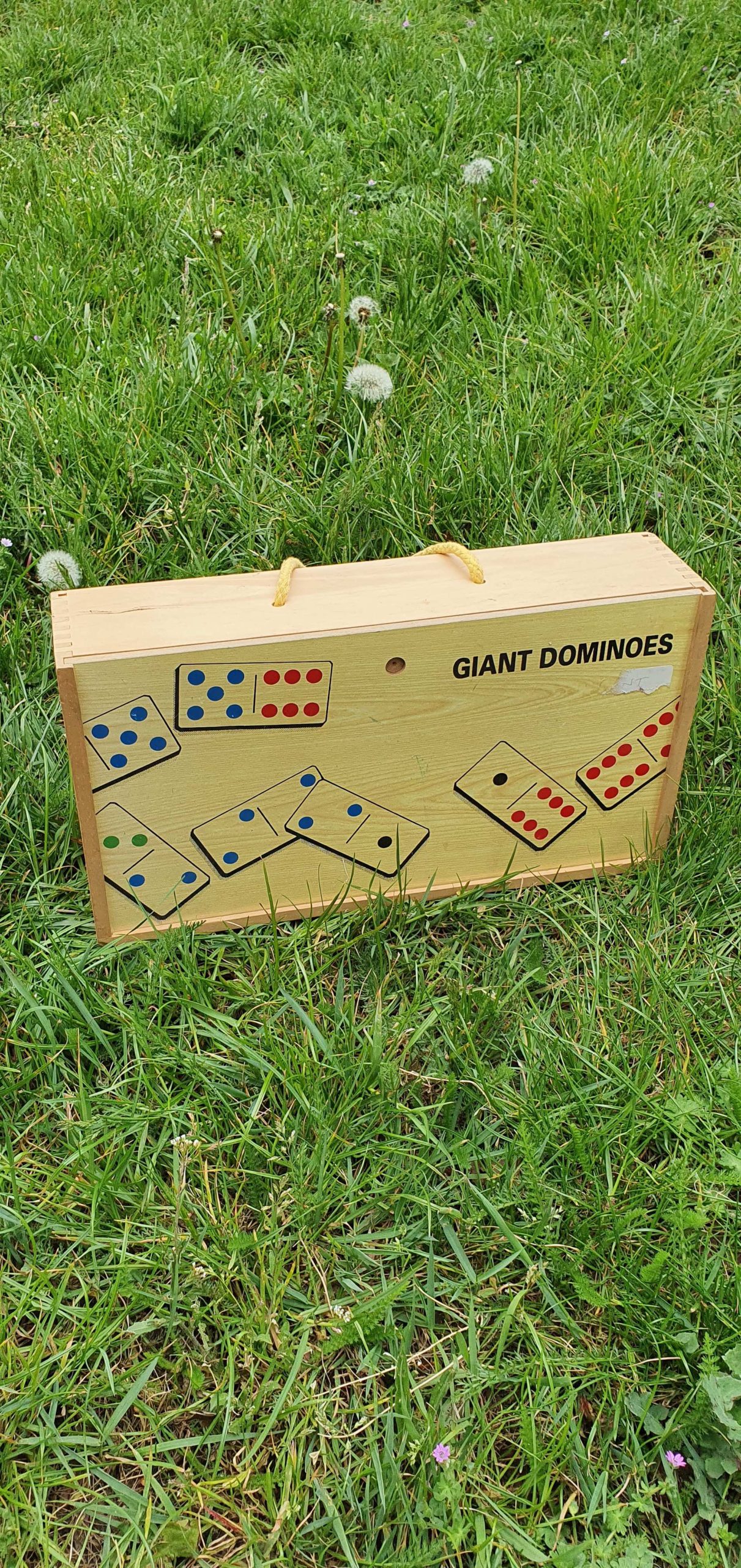 Dominoes scaled