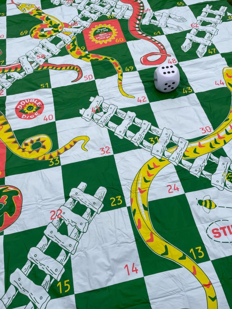 Giant Snakes and Ladders